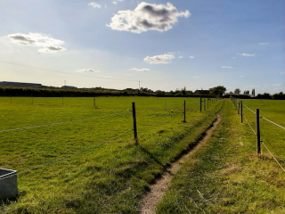 Fields and paddocks